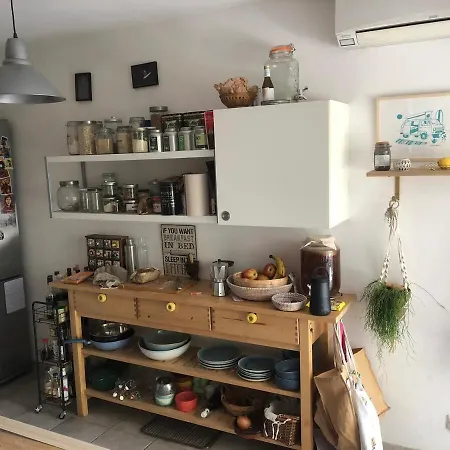 Surf, Skate, Golf House