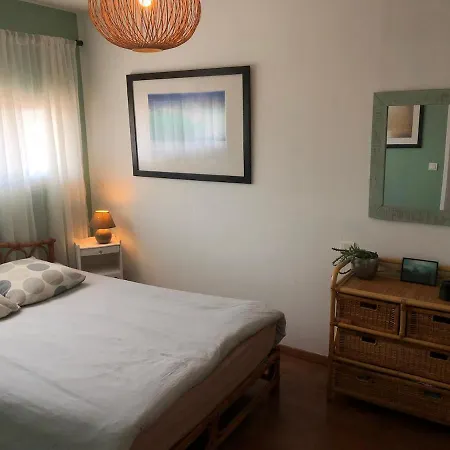 Surf, Skate, Golf House
