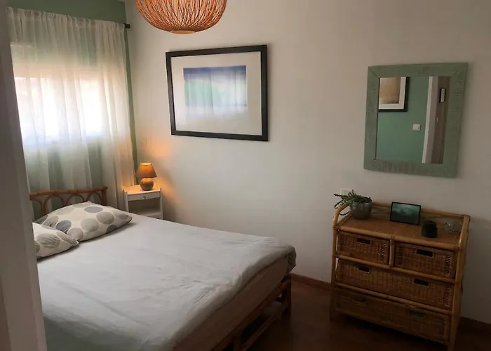 Surf, Skate, Golf House